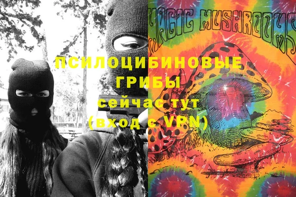 марки lsd Богородицк